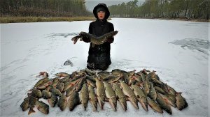 ЧУДНАЯ РЫБАЛКА С СЫНОМ, ЛЁД УЖЕ НЕ ПЕРВЫЙ НО ВСЁ ЕЩЁ ЩЕДРЫЙ НА КЛЁВ!ЖЕРЛИЦЫ СКУЧАТЬ НЕ ДАВАЛИ!