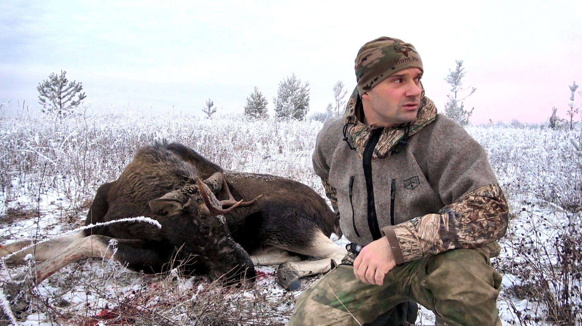 ОХОТА НА ЛОСЯ В ОДИНОЧКУ. ПОИСК РОГАЧА ПО ПЕРВОМУ СНЕГУ. РАЗДЕЛАЛ ЕЩЕ ГОРЯЧИМ ЗВЕРЯ. смотреть онлайн
