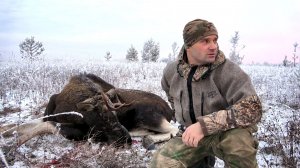 ОХОТА НА ЛОСЯ В ОДИНОЧКУ. ПОИСК РОГАЧА ПО ПЕРВОМУ СНЕГУ. РАЗДЕЛАЛ ЕЩЕ ГОРЯЧИМ ЗВЕРЯ.