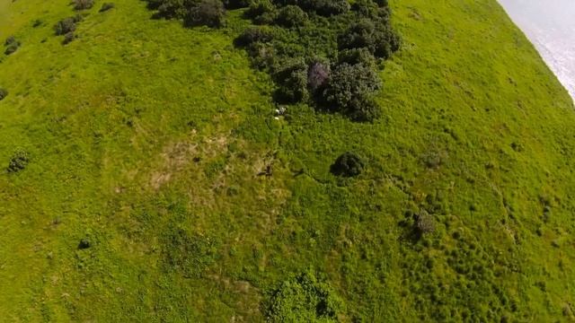 Островной облёт маток Бакфаст в Сибири озеро Чаны смотреть онлайн