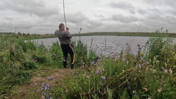 Ловля карпа и амура на дикаре Тульской области. Карпфишинг.