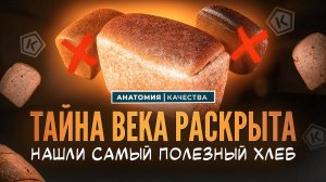 Хлеб без мифов: что правда полезно, а что — маркетинг