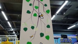 Амина в улье