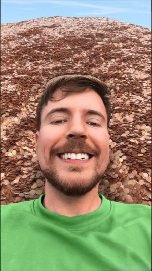 1 Подписчик = 1 Пенни