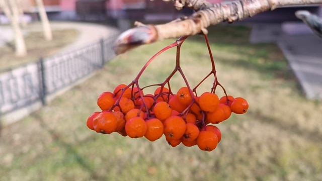 **Я КУПЛЮ ТЕБЕ НОВУЮ ЖИЗНЬ**.ЕСЛИ МЕНЯ КТО-ТО ЛЮБИТ❤💛💙, ЗНАЧИТ ЖИВУ НЕ ЗРЯ!!! смотреть онлайн