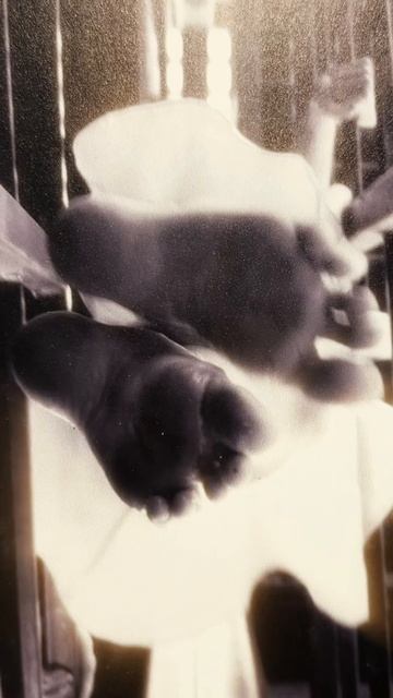 В баре «Вечно Молодой» открыта выставка фотокартин Фёдора Москвина