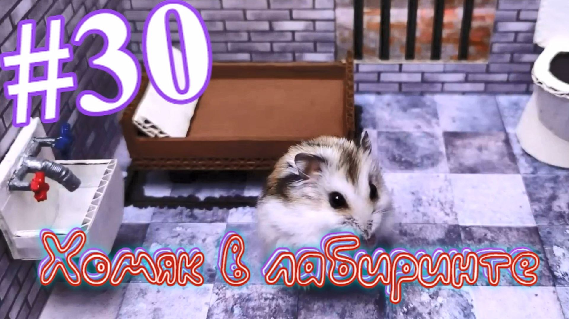 Хомяк в лабиринте (30 серия) смотреть онлайн