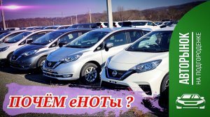 ПОЧЁМ еНОТы ?