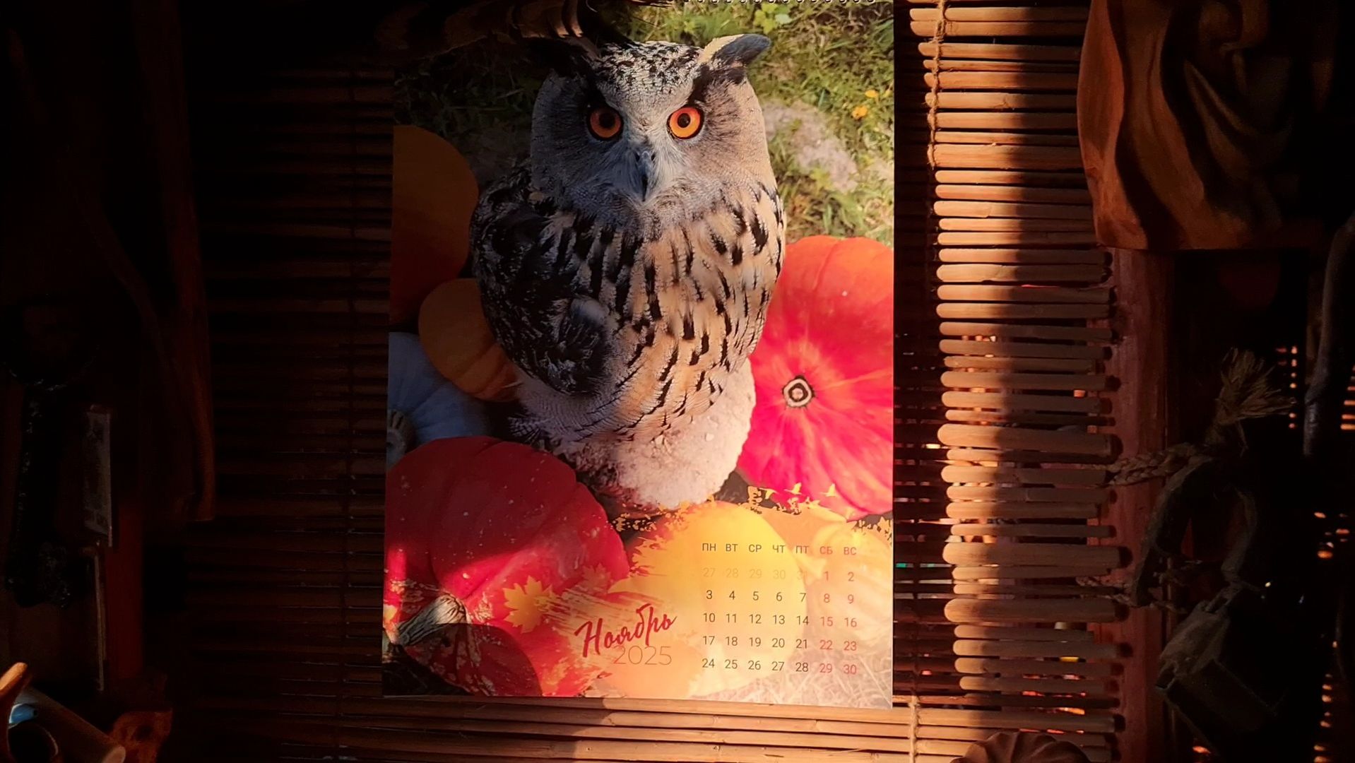 Мой солнечный день, тихая деревня и приятный вечер смотреть онлайн