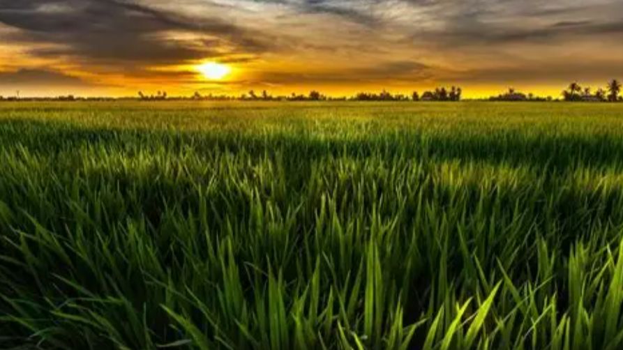 Архитектура… ну, почти! 🏗️😅