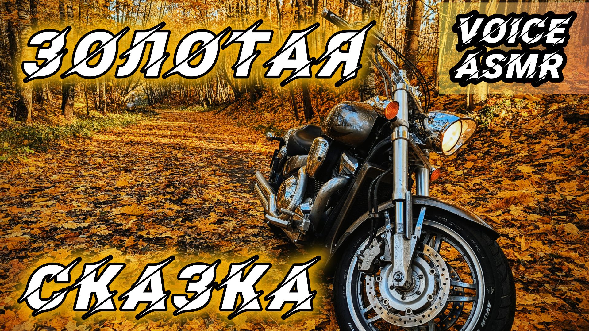 ЗОЛОТАЯ СКАЗКА | МАКСИМАЛЬНОЕ КОЛИЧЕСТВО ЛИСТВЫ В КАДРЕ  | HARLEY-DAVIDSON CUSTOM | HONDA VTX1800