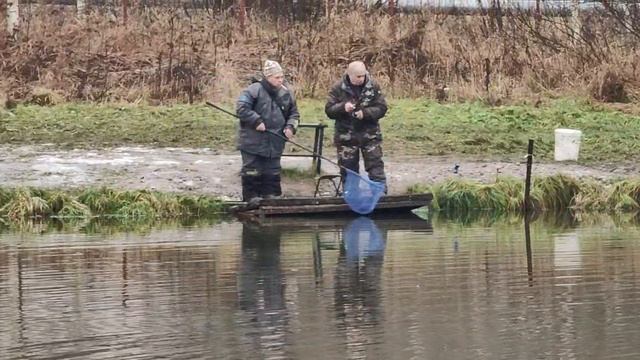 Светлые Горы Форель9 22.11.2025г. смотреть онлайн