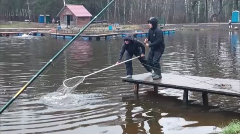 Поимки форели на верхнем водоёме. Клёвое место, Лосиный остров. смотреть онлайн