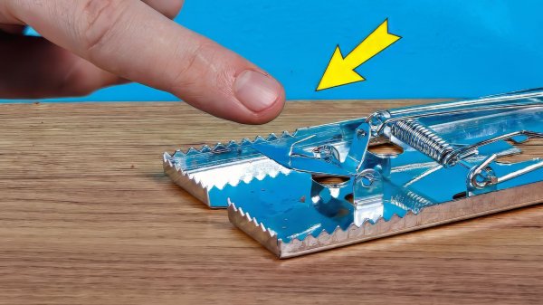 ЧТО БУДЕТ ЕСЛИ СУНУТЬ ПАЛЕЦ В МЫШЕЛОВКУ?