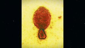 Вроде забавные мышки,но нет...