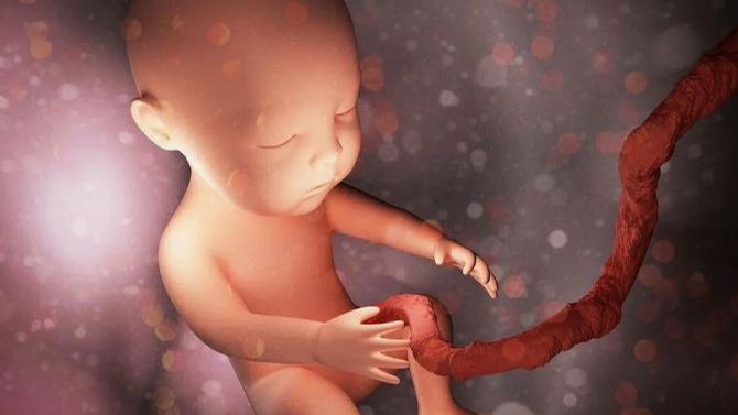 Описание пуповины смотреть онлайн