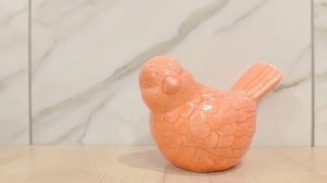 Испанский стыд. Страница надежды