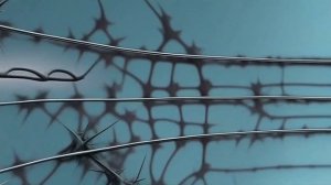 009- Фракталы психоделия