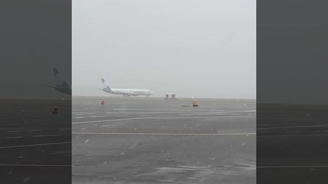 Счастливого пути! Первый чартерный рейс из Могилева вылетел в Шарм-эш-Шейх. смотреть онлайн