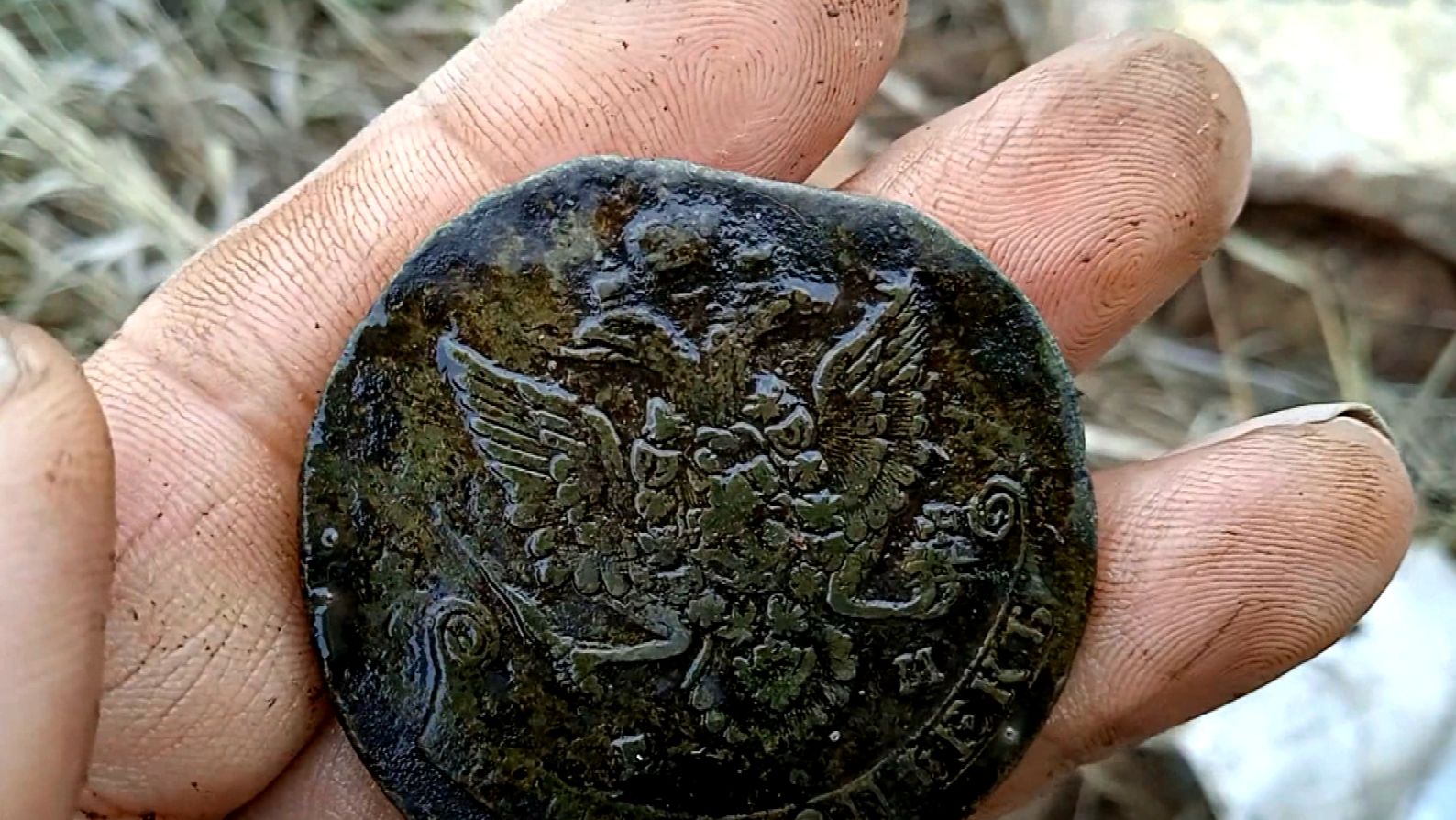 Не сигналы, а сказка! смотреть онлайн