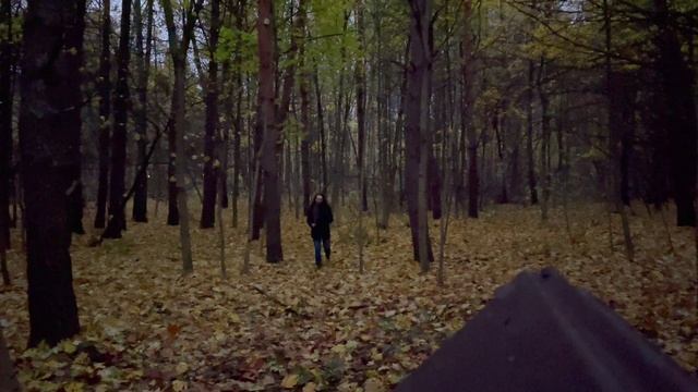 Однажды в Серебряном бору