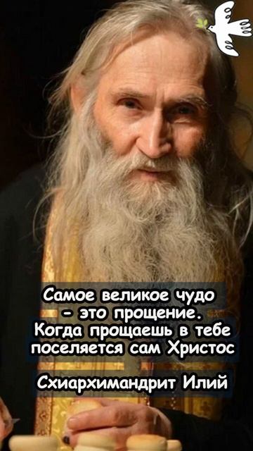О ПРОЩЕНИИ. Схиархимандрит Илий  #молитва #мистика #православныйцарь #молитвысвятым #старцы