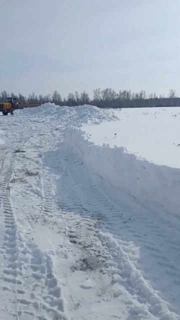 Чистим лесной точок от снега #сибирь #бакфаст #шортс #shorts #пчёлы #мёд #пчеловодство #пасека смотреть онлайн