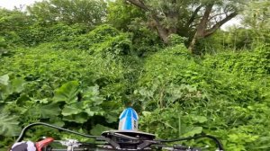 ПОКАТУШКА С ДЕВУШКОЙ НА ПИТБАЙКЕ // ПЕРЕВЕРНУЛСЯ НА НОВОМ JHL ZR3!