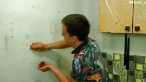 Пега - Рецепт роллов