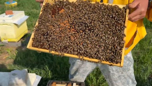 Расширяем отводок смотреть онлайн