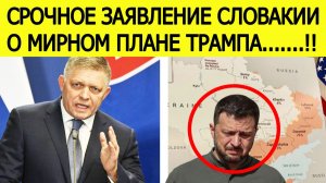 «Украина, я вас предупреждал!» — срочное заявление Фицо о России и мирном плане Трампа