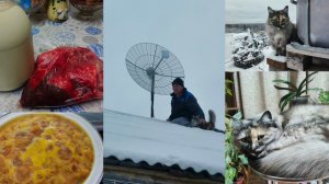 Кошка Кнопка на крышу с супругом ,поездка ,покупки.