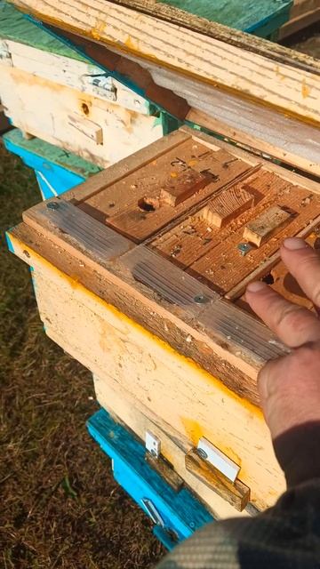 нуклеус четыре маткоместа бу продадим смотреть онлайн