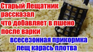 Правильная Прикормка для рыбалки Лещ Плотва Карась