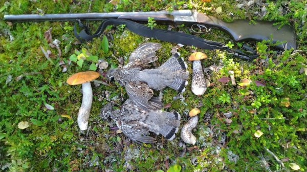 Знакомство с Карелией. Марс атакует. Часть 14