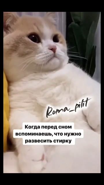 #вспомнил #юмор #смех #жиза смотреть онлайн