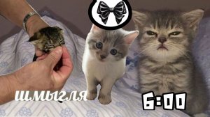 СМЕШНЫЕ МОМЕНТЫ СО СЪЁМОК В МАЙНКРАФТ!|Minecraft