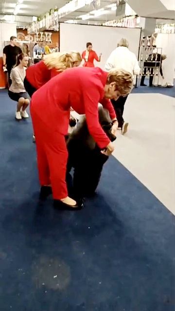 Национальная выставка собак всех пород ранга САС-ЧФ 