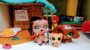 ПРИЮТ: 1 СЕРИЯ " КАК ГИДЖЕТ, ТУЗИК И МАЛЫШ ОКАЗАЛИСЬ В ПИТОМНИКЕ".🐶