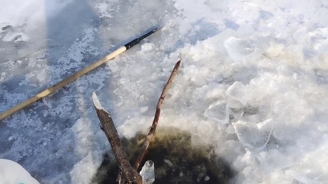 А щука в Зее есть. "Прикормил" для дяди щуку смотреть онлайн