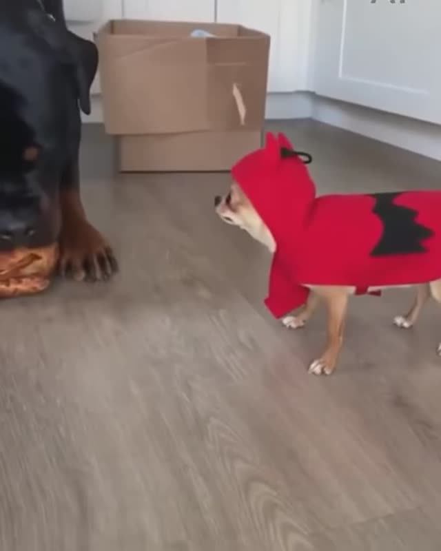 Не мешай!😂 смотреть онлайн