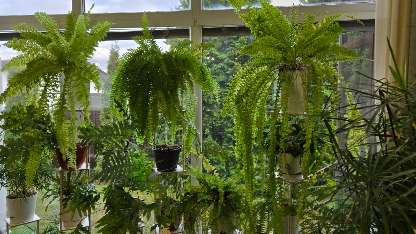 Новые полки для цветов на подоконник смотреть онлайн