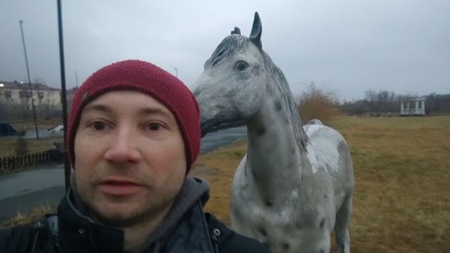 Встретил Коня Белогривого в городском парке! всем Доброго утра и хорошего настроения Конячего ) смотреть онлайн