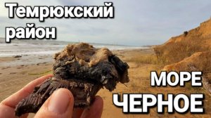 Мазут в Черном море не заканчивается. Пляжи Темрюкского района сегодня #Волна