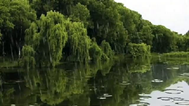 Видео.Идут дожди. 2025г смотреть онлайн