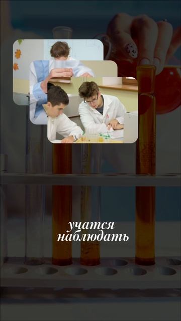 А вы знали, что школьная лаборатория может выглядеть как мини-научный центр?