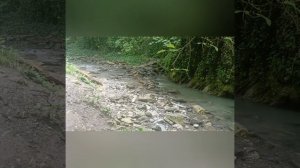 Свирское ущелье ☘️Лазаревское.03.072025