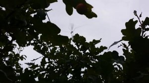 16-Отдых за городом..дача