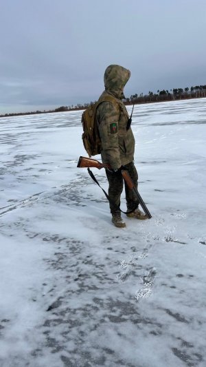 Приобрели лицензию на сибирскую косулю. Первый выезд