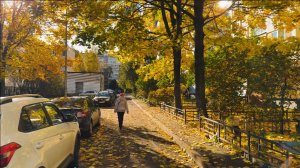 Просвещения - Озерки Прогулка по Санкт-Петербургу